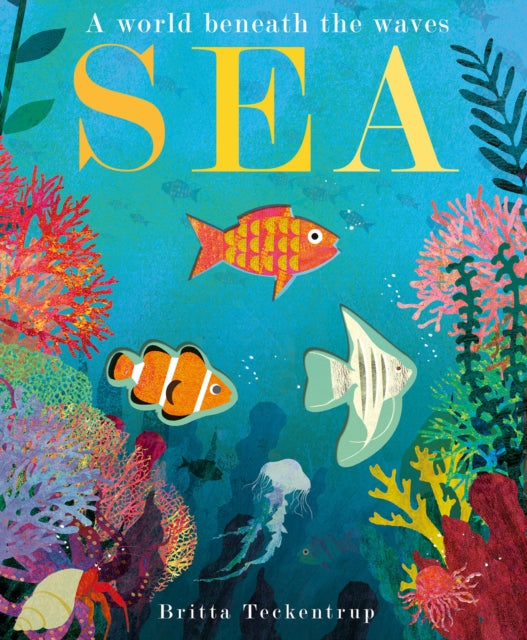 Sea : A World Beneath the Waves - Book from The Bookhouse Broughty Ferry- Just £7.99! Shop now