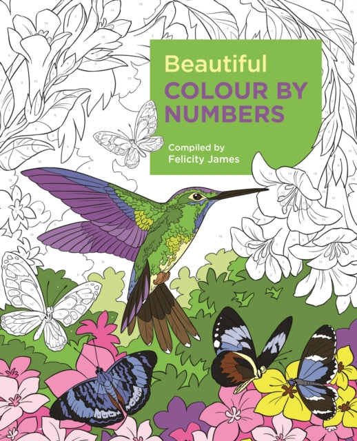 Beautiful Colour by Numbers - Book from The Bookhouse Broughty Ferry- Just £7.99! Shop now