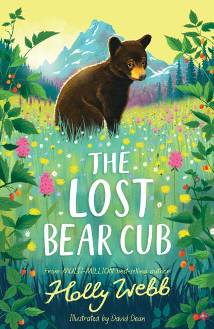 The Lost Bear Cub - Book from The Bookhouse Broughty Ferry- Just £6.99! Shop now