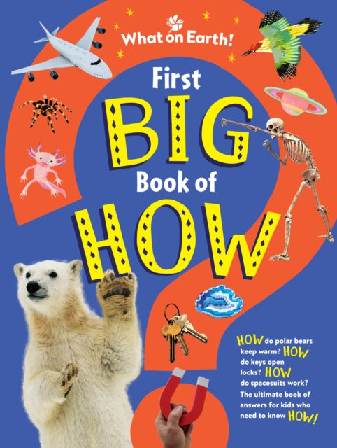 First Big Book of How - Book from The Bookhouse Broughty Ferry- Just £20! Shop now