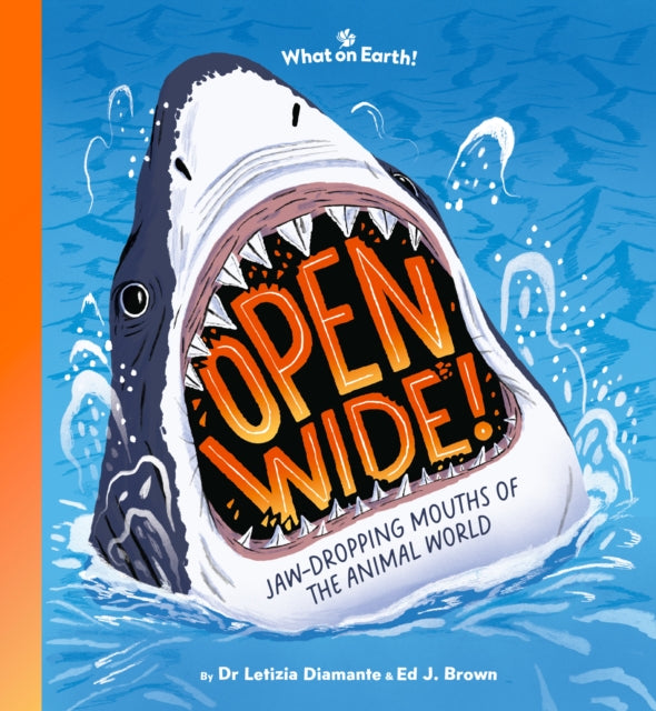 Open Wide! - Book from The Bookhouse Broughty Ferry- Just £14.99! Shop now