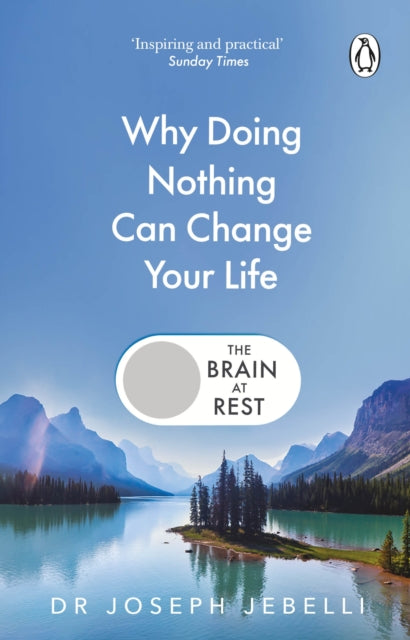 The Brain at Rest : Why doing nothing can change your life - Book from The Bookhouse Broughty Ferry- Just £11.99! Shop now