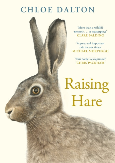 Raising Hare - Book from The Bookhouse Broughty Ferry- Just £18.99! Shop now