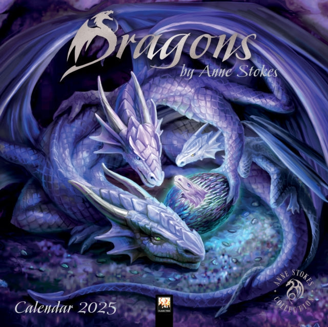 Dragons by Anne Stokes Wall Calendar 2025 (Art Calendar) - Book from The Bookhouse Broughty Ferry- Just £10.99! Shop now