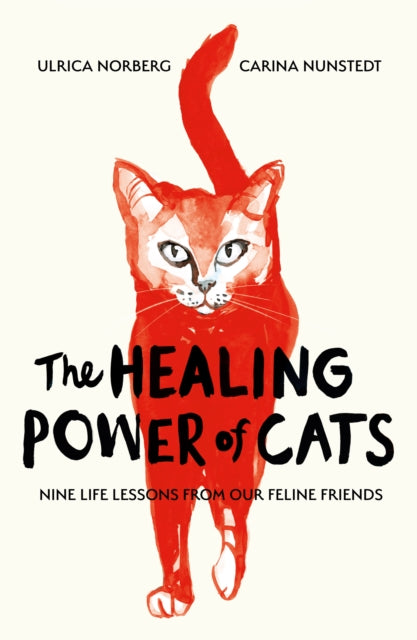 The Healing Power of Cats - Book from The Bookhouse Broughty Ferry- Just £12.99! Shop now