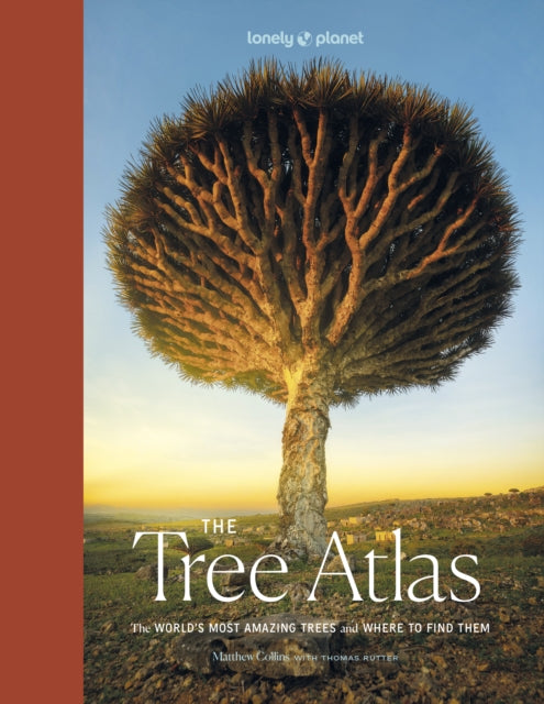 Lonely Planet The Tree Atlas - Book from The Bookhouse Broughty Ferry- Just £35! Shop now