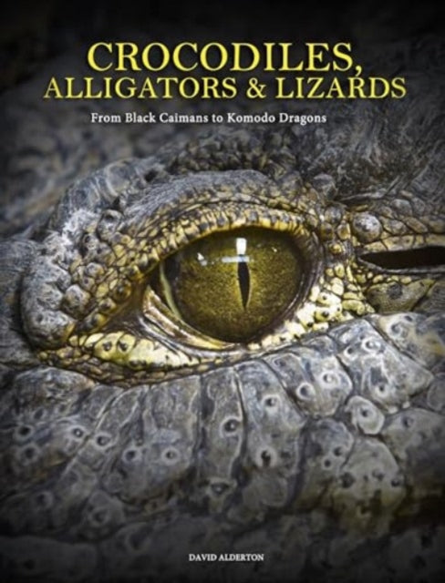 Crocodiles, Alligators & Lizards - Book from The Bookhouse Broughty Ferry- Just £19.99! Shop now