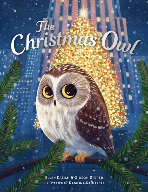 The Christmas Owl - Book from The Bookhouse Broughty Ferry- Just £7.99! Shop now