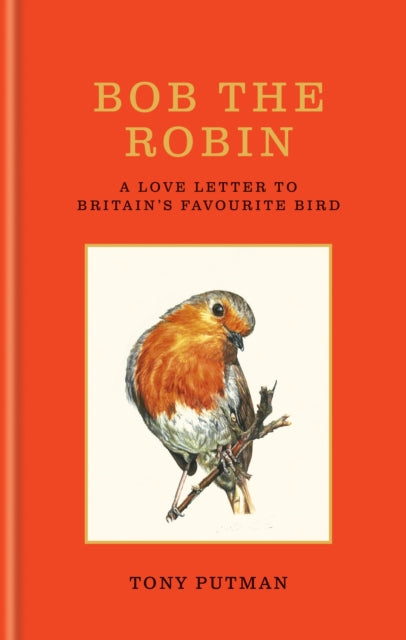 Bob the Robin - Book from The Bookhouse Broughty Ferry- Just £16.99! Shop now