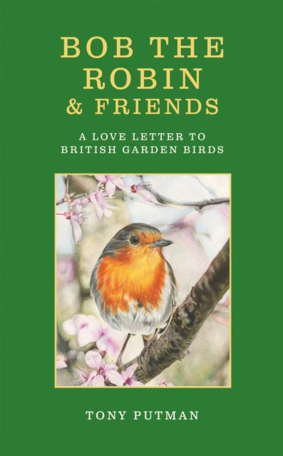 Bob the Robin & Friends : A Love Letter to British Garden Birds - Book from The Bookhouse Broughty Ferry- Just £16.99! Shop now