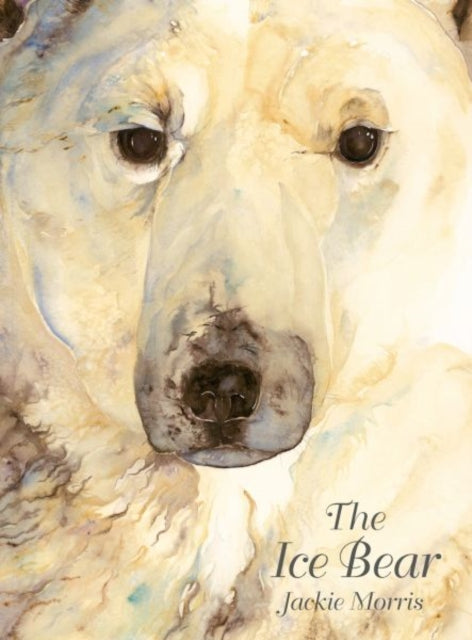 Ice Bear, The - Book from The Bookhouse Broughty Ferry- Just £20! Shop now