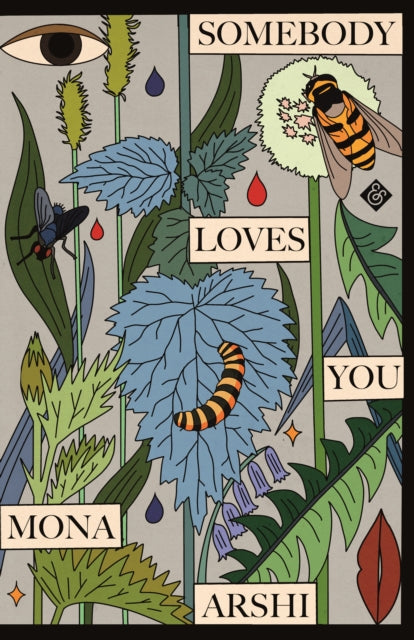 Somebody Loves You - Book from The Bookhouse Broughty Ferry- Just £11.99! Shop now