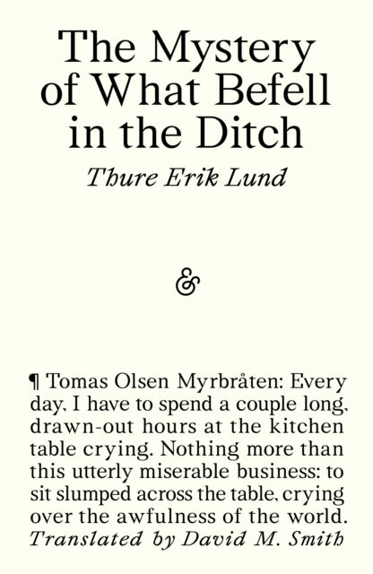 The Mystery of What Befell in the Ditch - Book from The Bookhouse Broughty Ferry- Just £14.99! Shop now