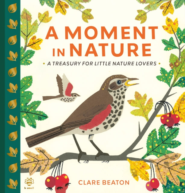 A Moment in Nature - Book from The Bookhouse Broughty Ferry- Just £12.99! Shop now