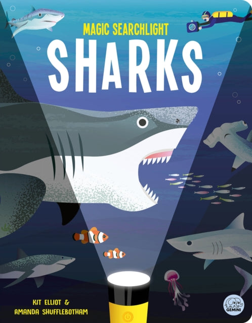 Magic Searchlight - Sharks - Book from The Bookhouse Broughty Ferry- Just £12.99! Shop now