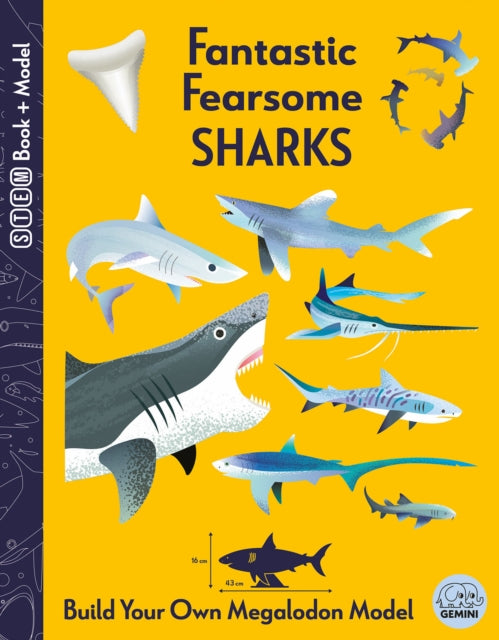 Fantastic Fearsome Sharks - Book from The Bookhouse Broughty Ferry- Just £16.99! Shop now