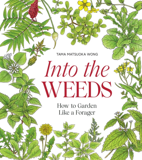 Into the Weeds : How to Garden Like a Forager - Book from The Bookhouse Broughty Ferry- Just £22! Shop now