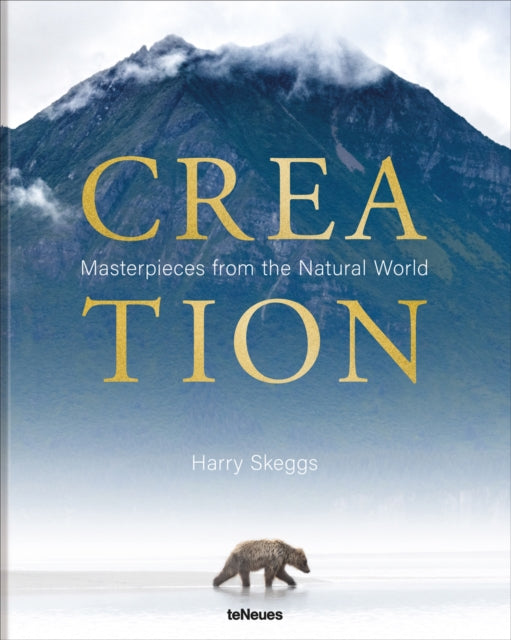 Creation - Book from The Bookhouse Broughty Ferry- Just £49.95! Shop now