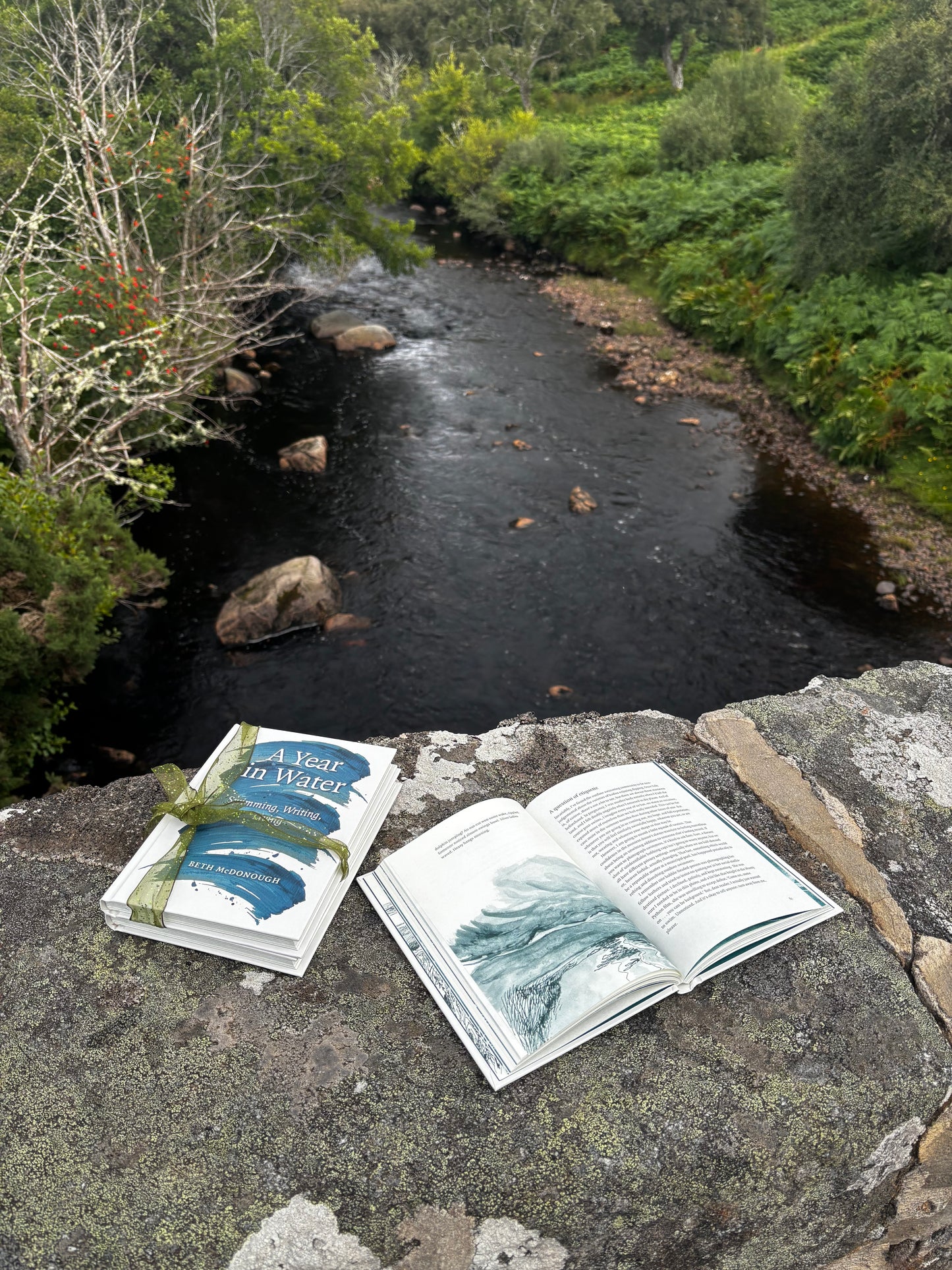 A Year in Water - Book from The Bookhouse Broughty Ferry- Just £15! Shop now