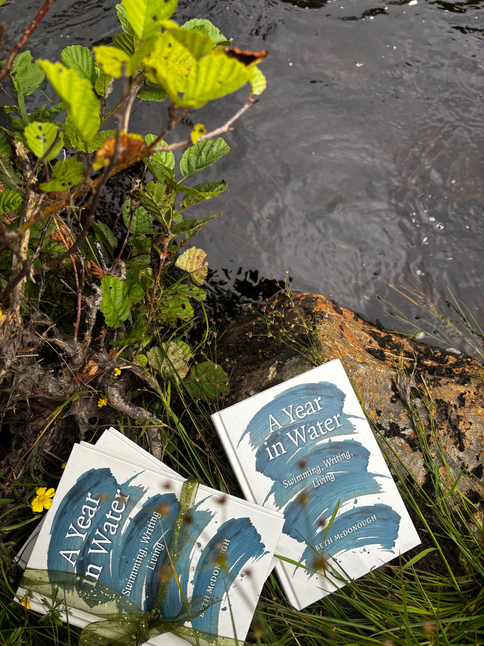 A Year in Water - Book from The Bookhouse Broughty Ferry- Just £15! Shop now