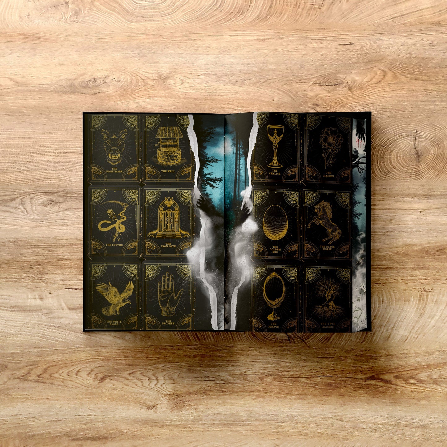 One Dark Window - SPECIAL LIMITED EDITION - Book from The Bookhouse Broughty Ferry- Just £27! Shop now