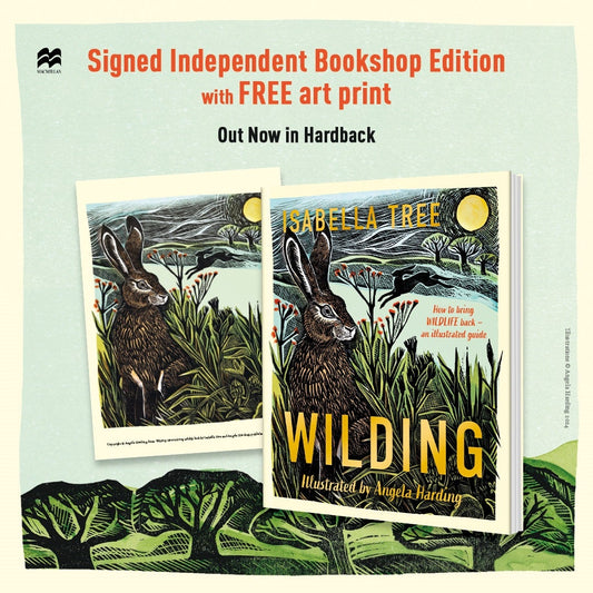 Wilding: How to Bring Wildlife Back - SIGNED INDPENDENT BOOKSHOP EDIITON WITH FREE ART PRINT - Book from The Bookhouse Broughty Ferry- Just £18! Shop now