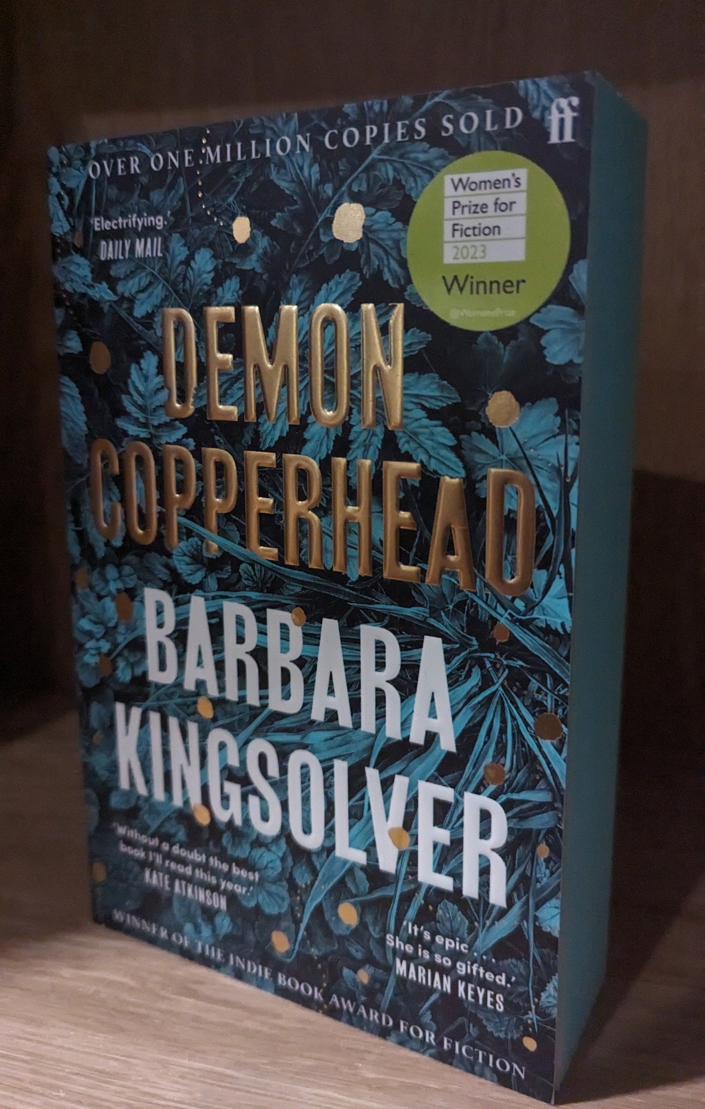 Demon Copperhead : Winner of the Women's Prize for Fiction
