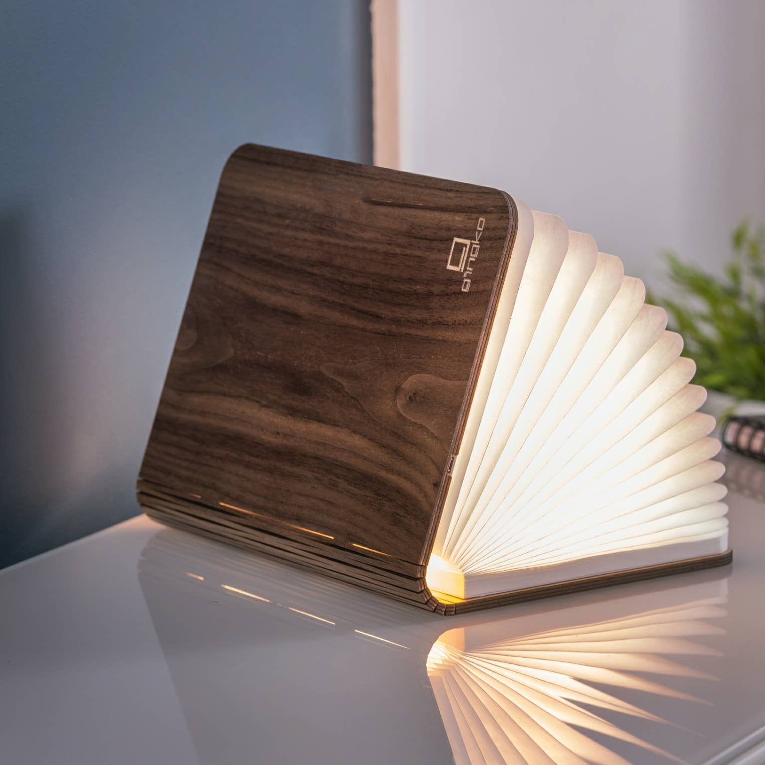 Natural Wood Smart Book Light -  from The Bookhouse Broughty Ferry- Just £34.99! Shop now