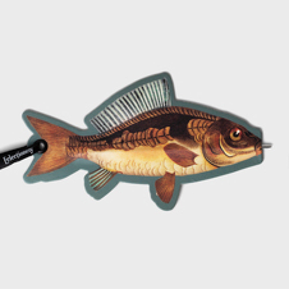 FISH - ECLECTIONERY FLAT PENS - Gift from The Bookhouse Broughty Ferry- Just £2.99! Shop now