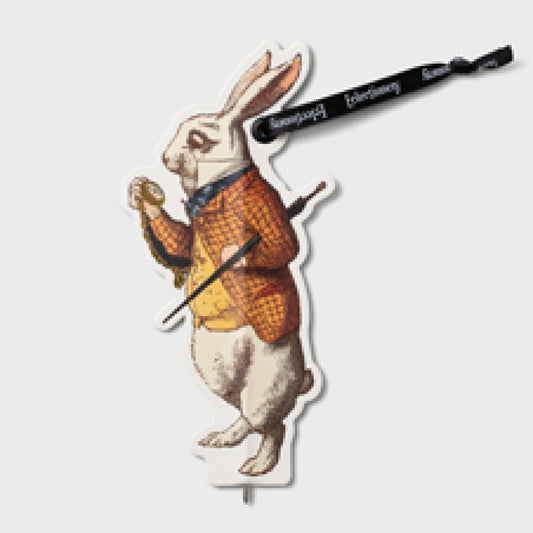 RABBIT - ECLECTIONERY FLAT PENS - Gift from The Bookhouse Broughty Ferry- Just £2.99! Shop now