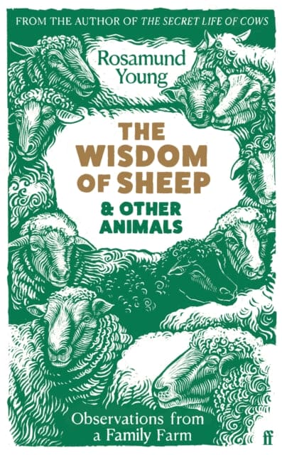 The Wisdom of Sheep & Other Animals : Observations from a Family Farm - Book from The Bookhouse Broughty Ferry- Just £14.99! Shop now