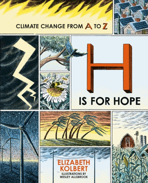 H is for Hope - Book from The Bookhouse Broughty Ferry- Just £16.99! Shop now