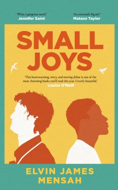 Small Joys : A Buzzfeed 'Amazing New Book You Need to Read ASAP' - Book from The Bookhouse Broughty Ferry- Just £14.99! Shop now