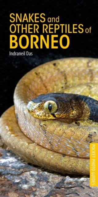 Snakes and Other Reptiles of Borneo-9781472982537