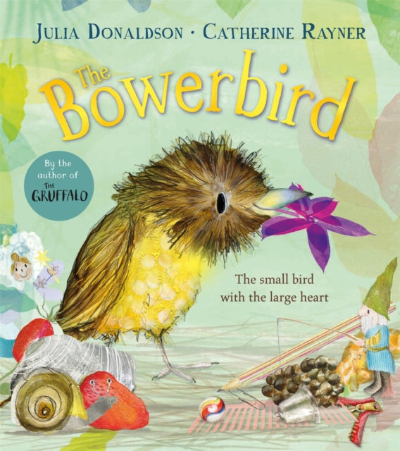 The Bowerbird - Book from The Bookhouse Broughty Ferry- Just £7.99! Shop now