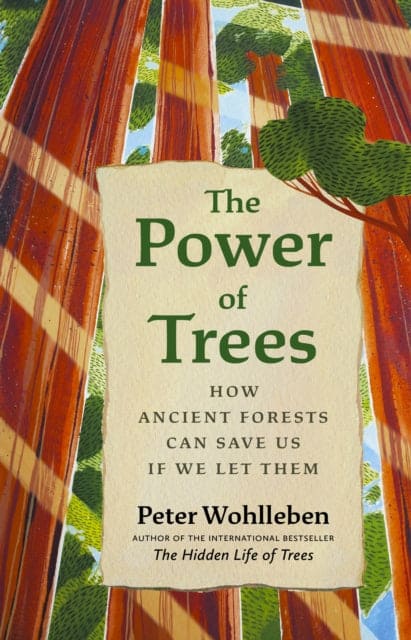 The Power of Trees : How Ancient Forests Can Save Us if We Let Them - Book from The Bookhouse Broughty Ferry- Just £18.99! Shop now