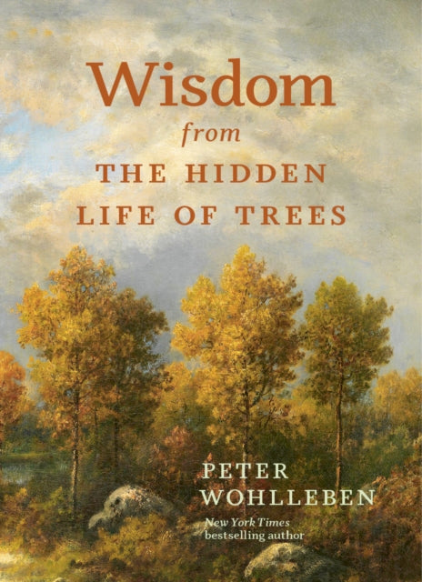 Wisdom from the Hidden Life of Trees - Book from The Bookhouse Broughty Ferry- Just £9.99! Shop now