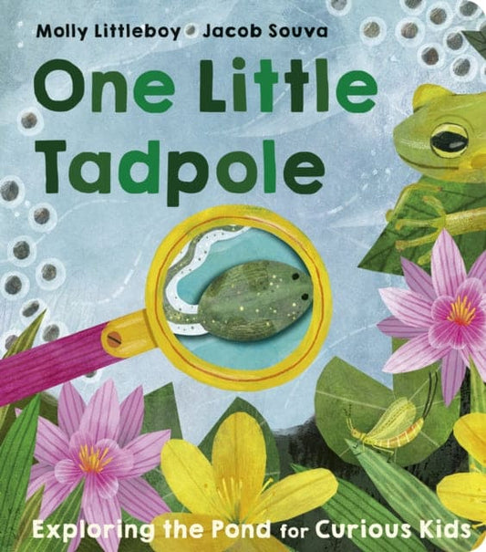 One Little Tadpole - Book from The Bookhouse Broughty Ferry- Just £9.99! Shop now