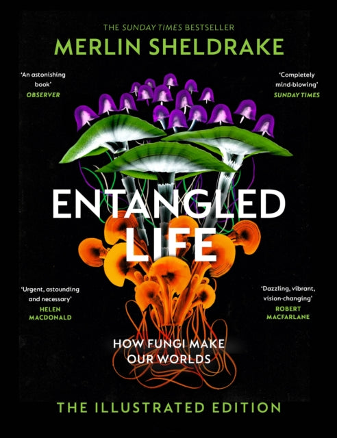 Entangled Life (The Illustrated Edition) : A beautiful new gift edition featuring 100 illustrations for Christmas 2023-9781847927736