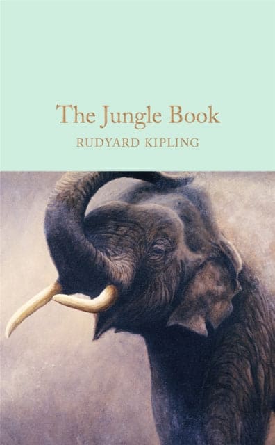 The Jungle Book - Book from The Bookhouse Broughty Ferry- Just £10.99! Shop now
